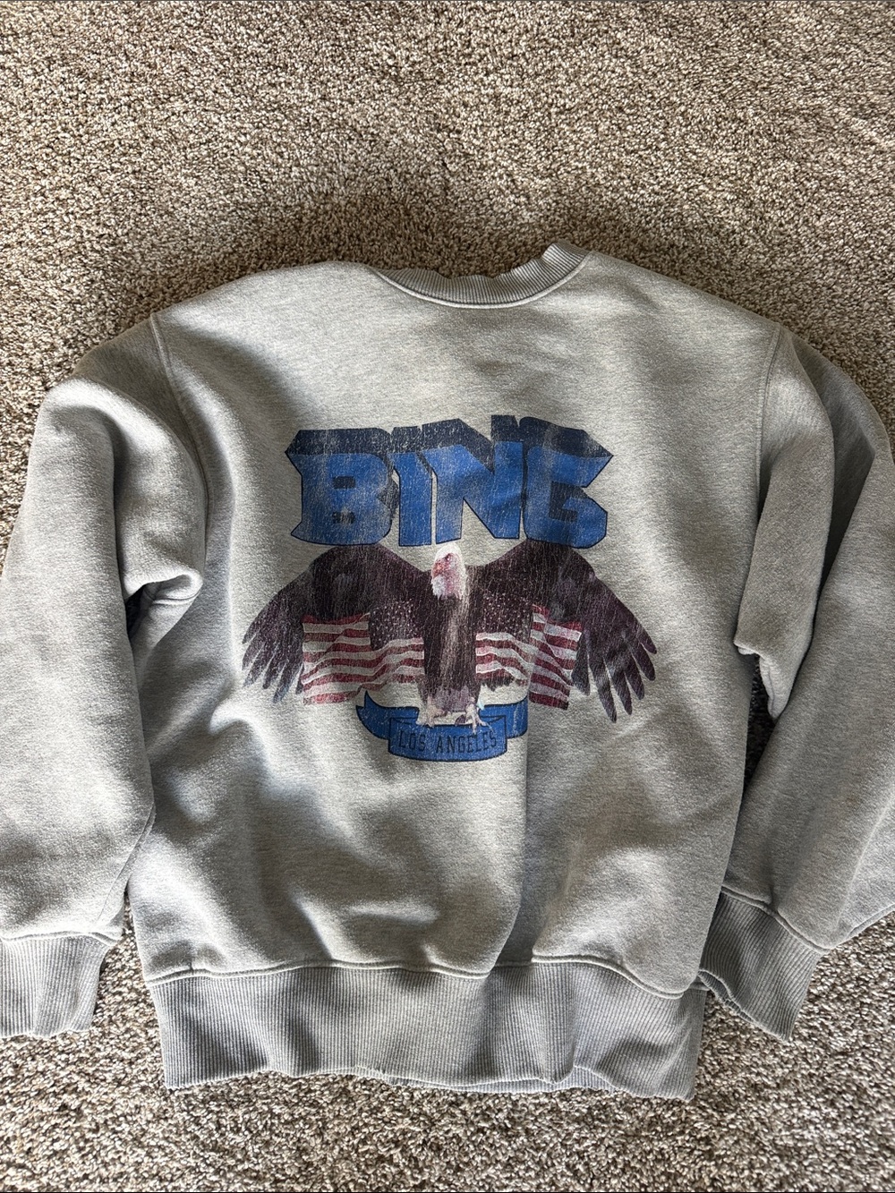Annie Bing Gray Graphic Eagle Crewneck Sweatshirt